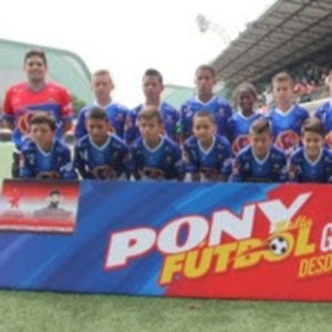 Meet your Posher, Luis david